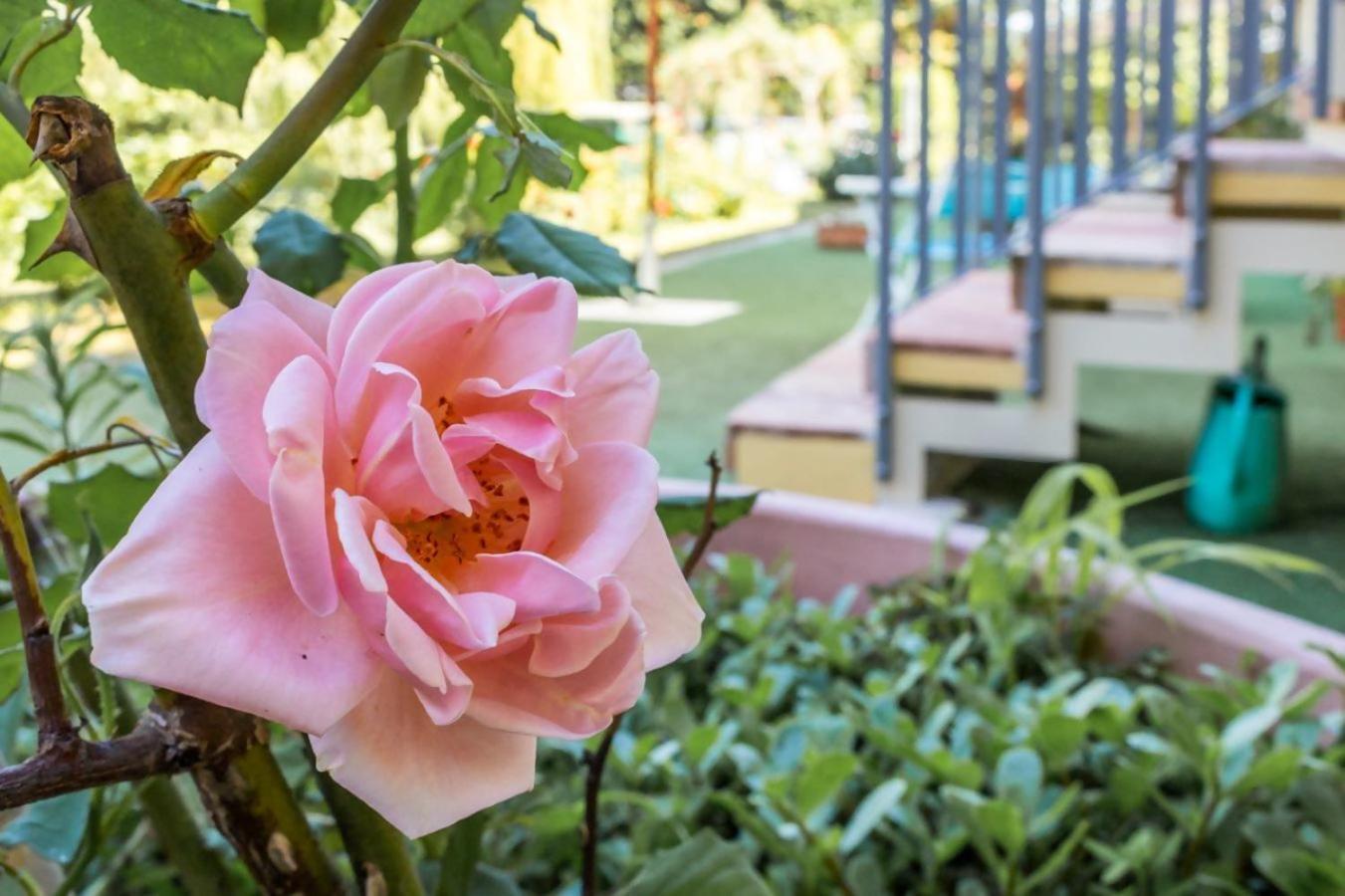R37 Casa Tamarina Daire Numana Dış mekan fotoğraf